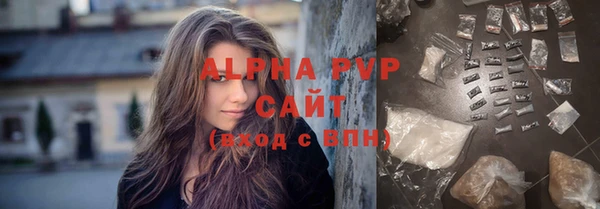 дживик Гусь-Хрустальный