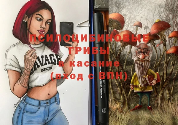 дживик Гусь-Хрустальный