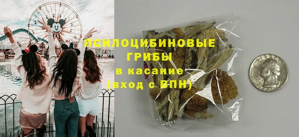 эйфоретик Гусиноозёрск