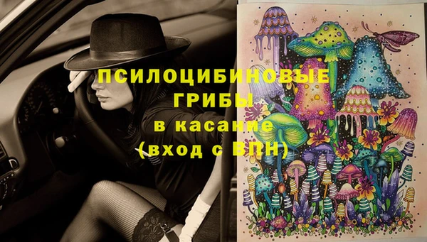 первитин Гусев