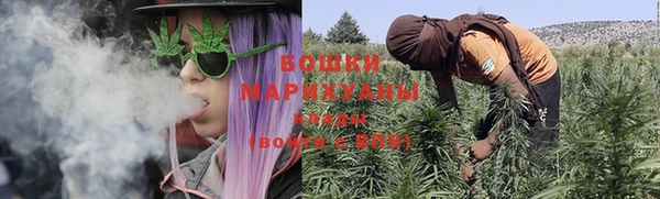 дживик Гусь-Хрустальный