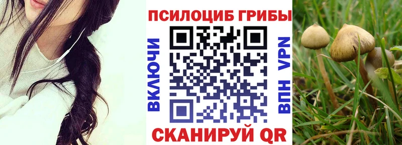 Галлюциногенные грибы Magic Shrooms  Купить  Лихославль 